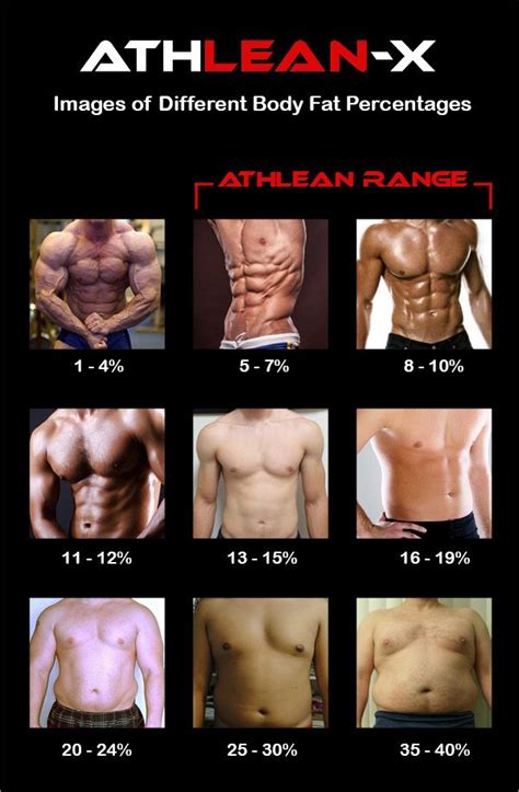 Body Fat Percentage: How to Quickly Identify Your Body Fat Level ...