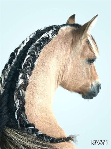 Double mane braid. Running braid. Long mane. Horses. | Horses, Horse ...