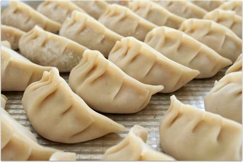 Cabbage and Pork Dumplings - Dish 'n' the Kitchen