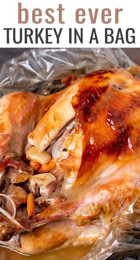 Best Ever Turkey in a Bag | Turkey recipes thanksgiving, Oven roasted ...