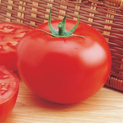 Delicious Tomato, Vegetable Plant Sale: Totally Tomatoes