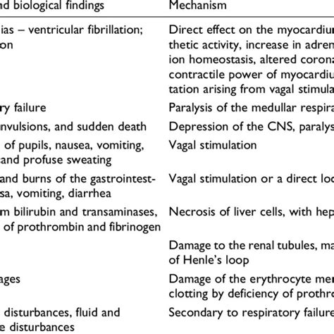 (PDF) Lethal complications after poisoning with chloroform – case ...