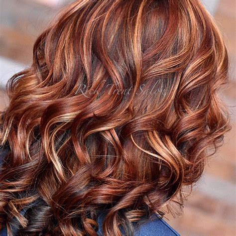 copper brown hair highlights | Enthroned Site Photo Gallery