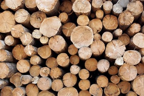 What is the difference between timber, lumber and wood?