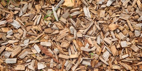 Playground Woodchips Terrascape Supply | lupon.gov.ph