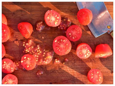 Are tomato seeds poisonous? Should you avoid eating tomatoes?