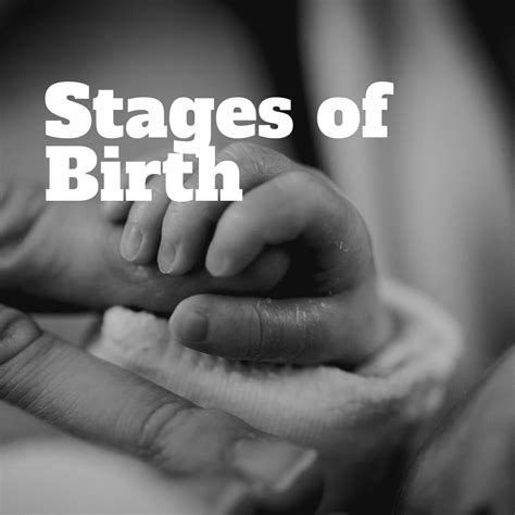 Stages of Birth - Touching Life