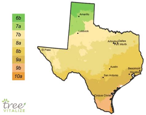 Planting Zones Texas - Hardiness, Gardening & Climate Zone