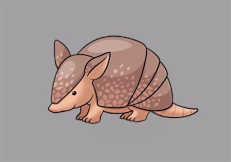 How to draw an armadillo easy step by step - Easy animals to draw ...