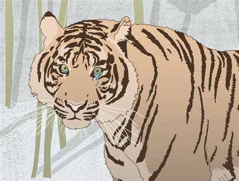 Tiger Tears on Behance