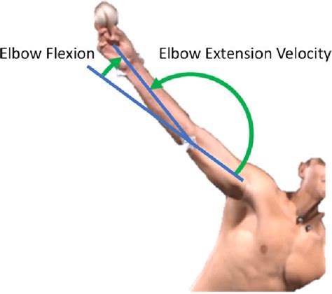 Elbow Flexion And Extension