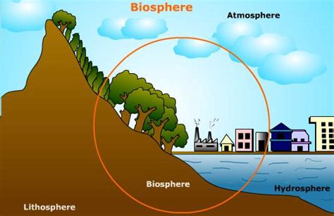 Biophysical Environment - Virtual Study: Lady Robinson Beach