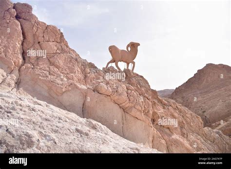 View mountain oasis chebika waterfall hi-res stock photography and ...