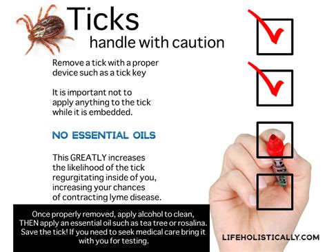 Using Essential oils to remove ticks and tick bites in 2020 | Essential ...