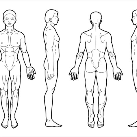 Body Diagram for Professional Massage Chart: front, back, left and ...