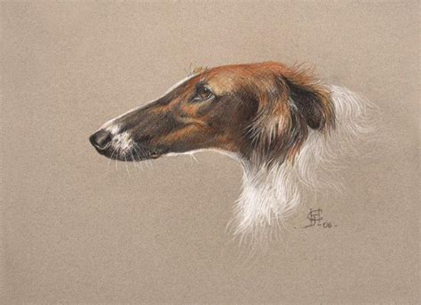 a drawing of a brown and white dog with long hair on it's head