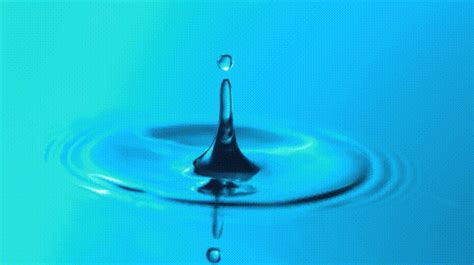 Download Photography Water Drop Gif