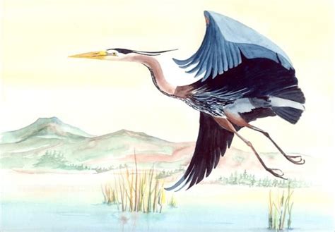 Great Blue Heron in flight Large Card | Blue heron, Watercolor print, Heron