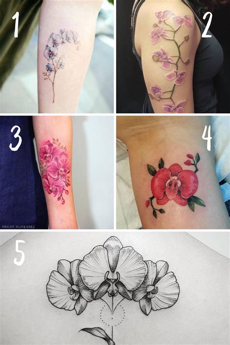 Flower Tattoo Meanings Orchid | Best Flower Site