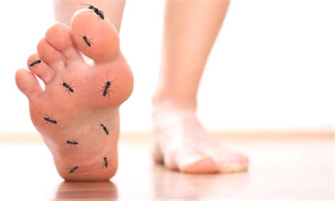 11 Reasons for Tingling in Your Feet - Why Are My Feet Tingling ...