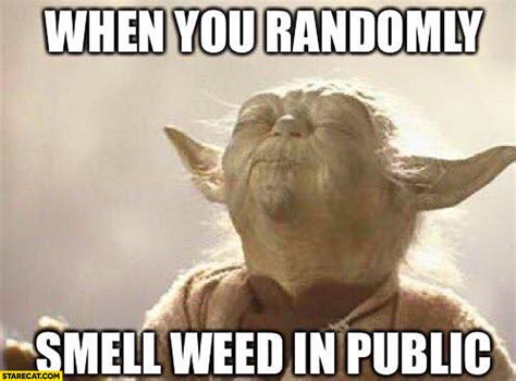 When you randomly smell weed in public Yoda meme | StareCat.com