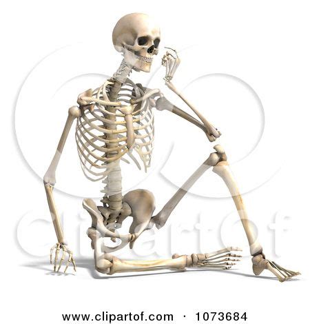 Skeleton Side View Sitting | 3d Human Male Skeleton Sitting And ...