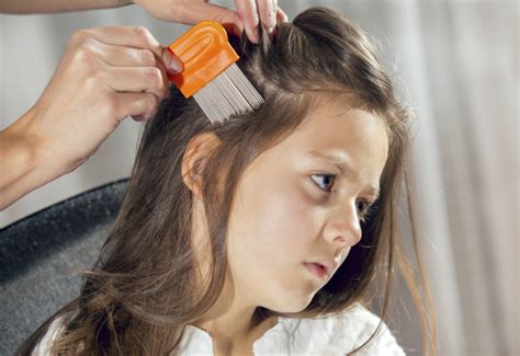 No-Panic Guide to Head Lice Treatment | Johns Hopkins Medicine