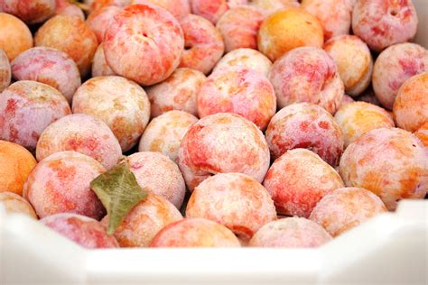 Pluots, Apriums, and the Flavorful World of Hybrid Fruit : Foodwise