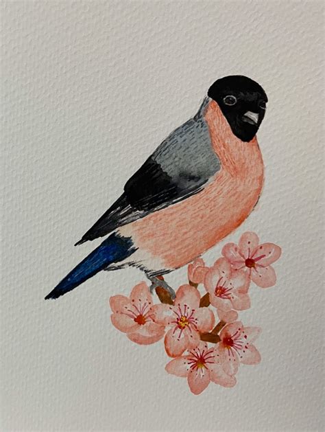 Watercolor Painting - Bird, Hobbies & Toys, Stationary & Craft, Art ...