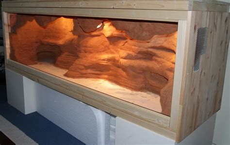 Cool Bearded Dragon Enclosure Decor Ideas References