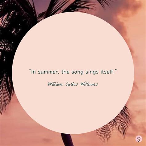 60+ Summer Quotes for The Sunny Season