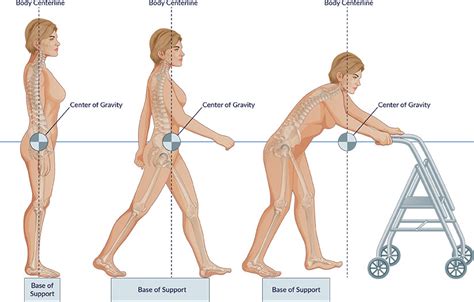 Why Understanding Your Center of Gravity is Key to Fall Prevention