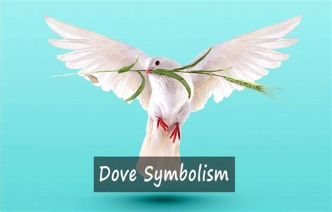 Dove Symbolism | Dove symbolism, Symbols, Love symbols