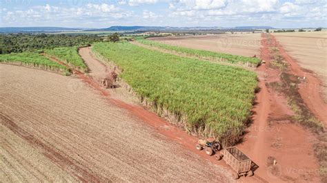 Sugar cane harvest in sunny day in Brazil. Aerial view. 7499294 Stock ...