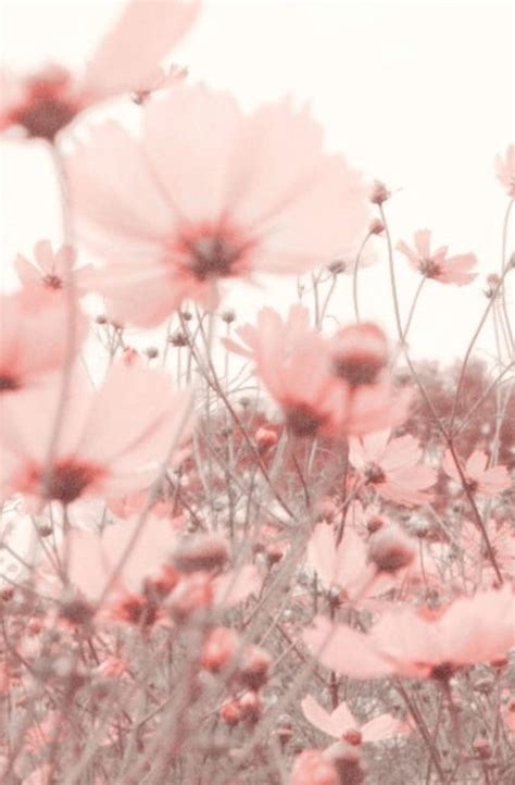 Incredible Compilation of Full 4K Flower Wallpapers: Over 999 ...