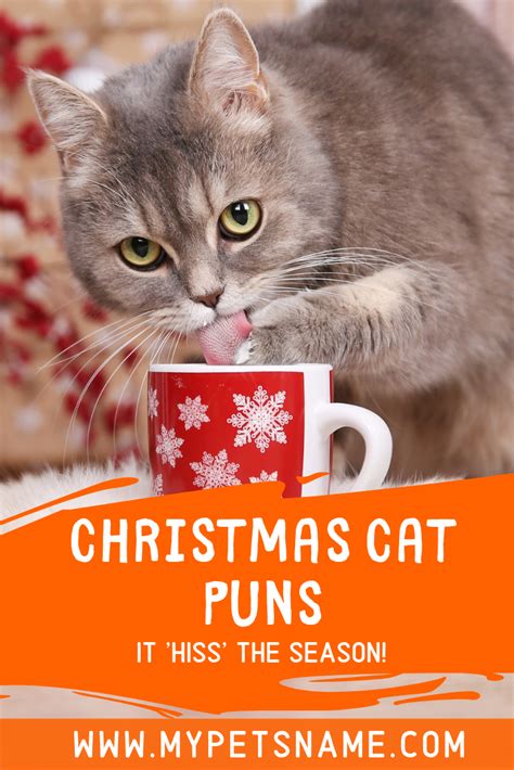 Festive Feline Fun: Christmas Cat Puns