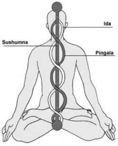 Sushumna Channel & Ida and Pingala Channels Kundalini Yoga Poses, 7 ...