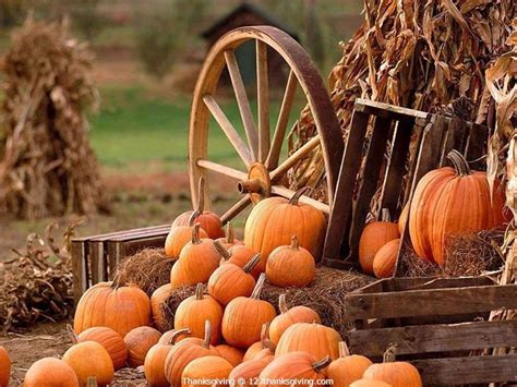 Welcome Happy Thanksgiving Desktop Wallpaper | ... wallpaper ...