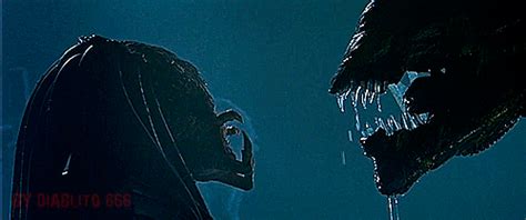 alien vs predator gifs | WiffleGif