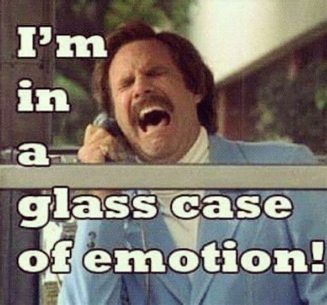 *ANCHORMAN* Tv Quotes, Movie Quotes, Funny Quotes, Truth Quotes, Will ...