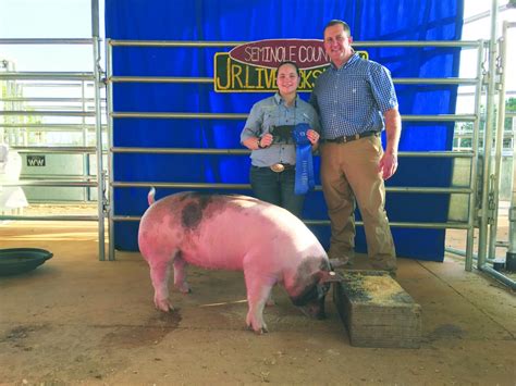 Annual Market Hog Show is this Saturday – The Donalsonville News