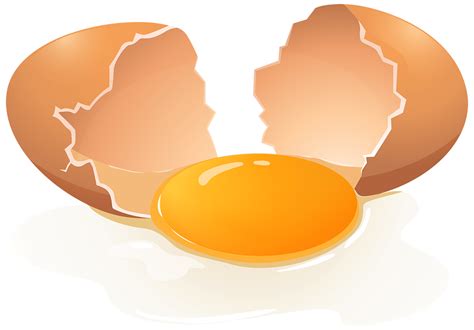 oeuf cassé fond transparent 14033640 PNG