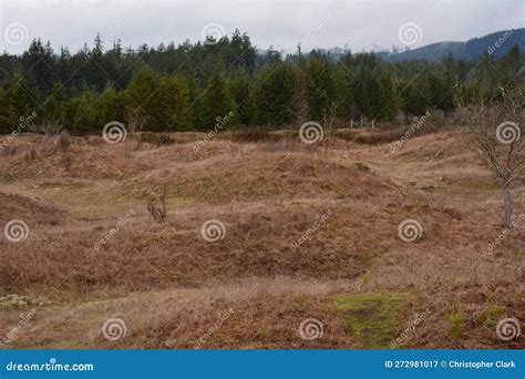 Mima Mounds Natural Area stock image. Image of exact - 272981017