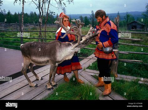 Sami people with reindeer, Sami woman, Sami man, reindeer, Konttaniemi ...