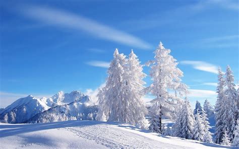 Winter Wonderland Wallpapers - Wallpaper Cave