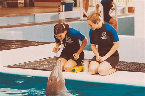 Dolphin Tale Set - Clearwater Marine Aquarium