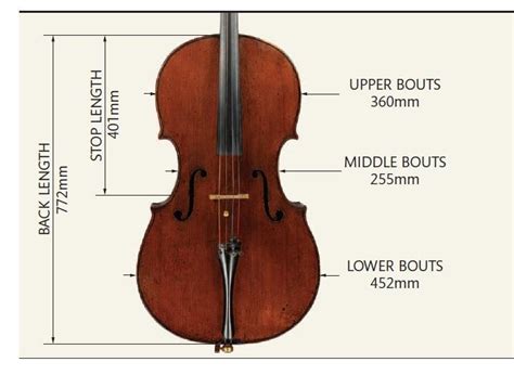 In Focus: a 1622 Brothers Amati Cello | Gallery | The Strad