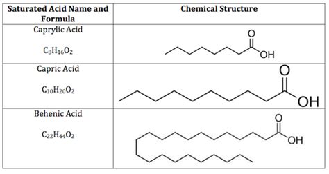 Chemical Makeup Of Fatty Acids - Mugeek Vidalondon