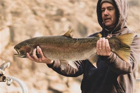 The day of the Wild fish on the Salmon River! - River Adventures LLC