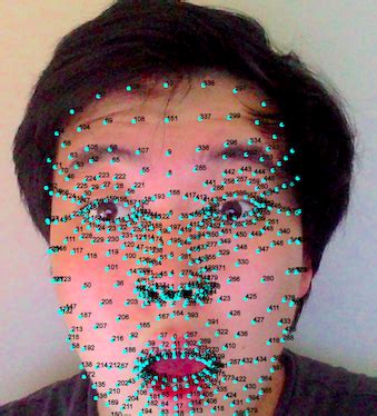 3 Web Demos of Face Mesh